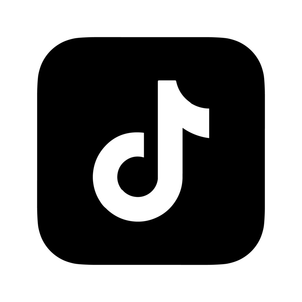 TikTok Farlight 84 France